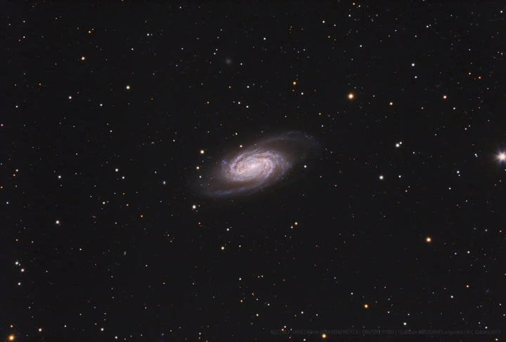 Celestron - 14" EdgeHD (Optisches Rohr)