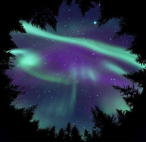 Homestar Planetariumsscheibe - Aurora Borealis & Landschaftsscheibe Taiga