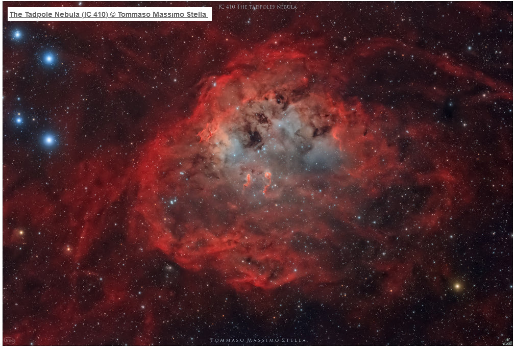 Optolong L-eNhance Dual-Schmalbandfilter - 2"